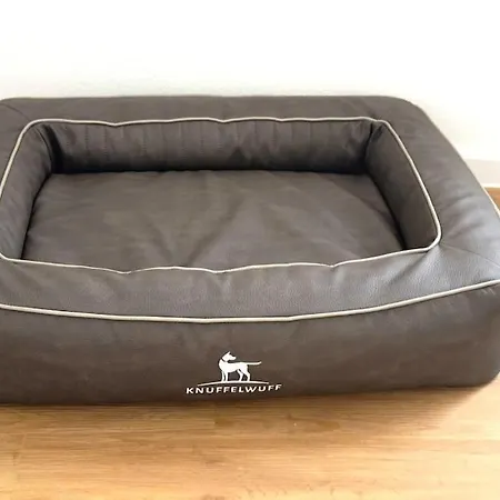 Family & Friends In Schwerin (Mecklenburg-Vorpommern)