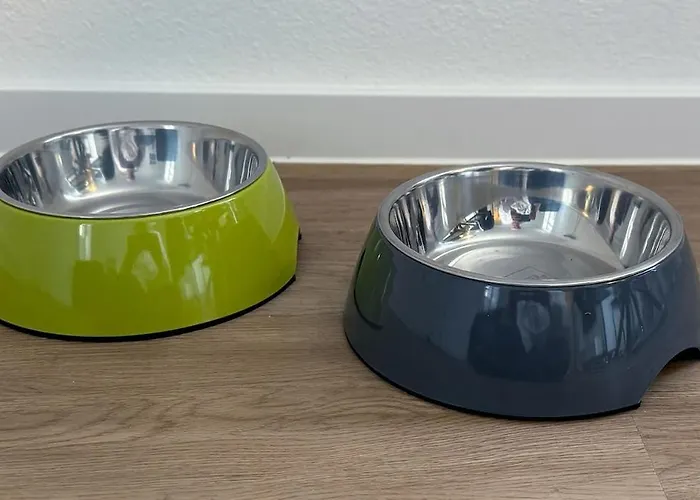 Apartment Family&friends In Schwerin (Mecklenburg-Vorpommern)